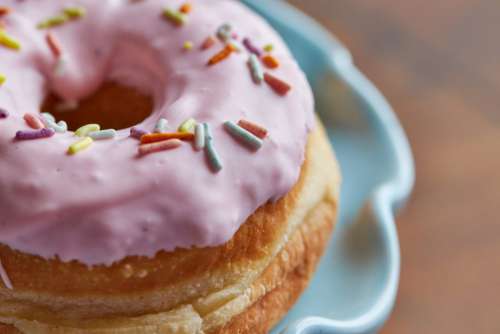 Donut Sprinkles Free Photo