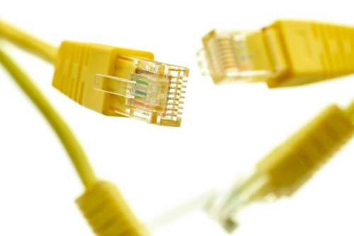Network Cable Close up Free Photo