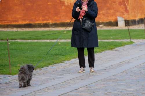 Woman Taking Pictures of Her Dog