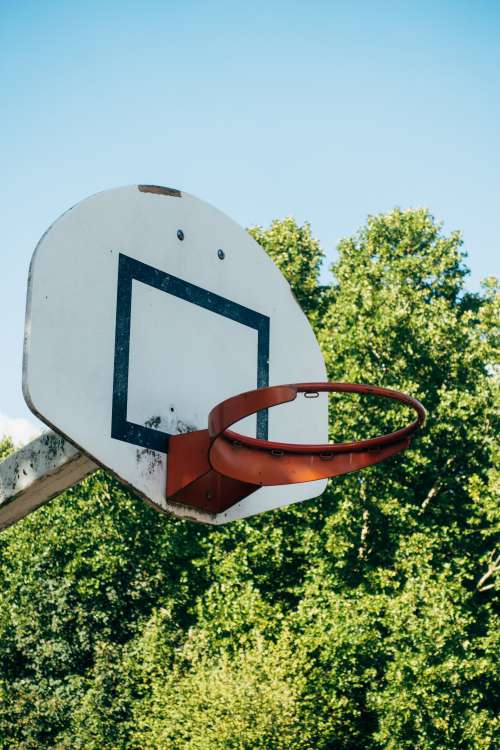 Abandoned Basketball Hoop Photo