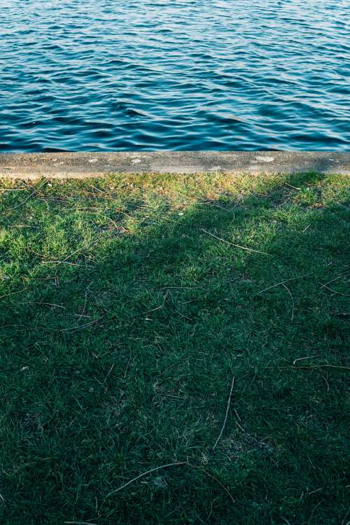 Grassy Edge By Calm Blue Water Photo
