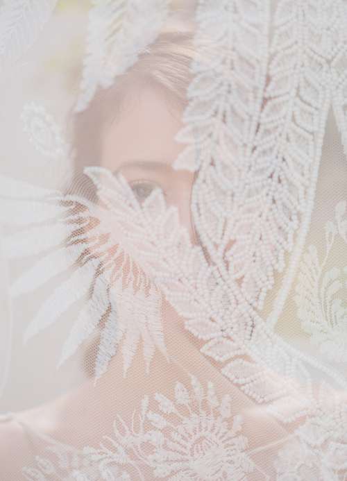 A Bride Through A Veil Photo