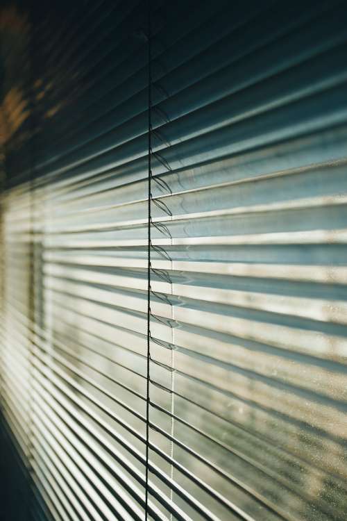 Dusty Windows And Blinds Photo