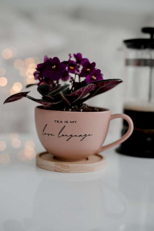 Tea Is My Love Language Photo
