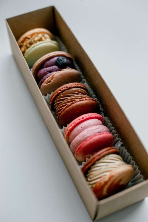 Boxed Macarons In A Line Photo