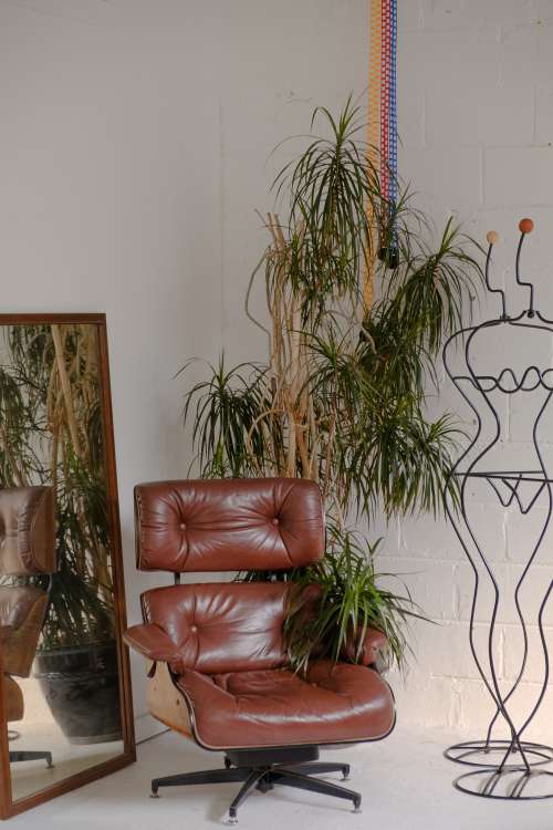 House Plant Hugs A Red Leather Chair Photo