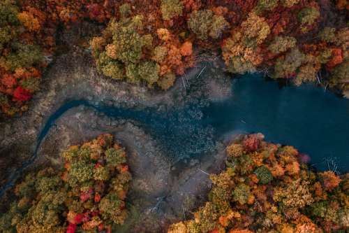 Frost Biting At A River In Fall Photo