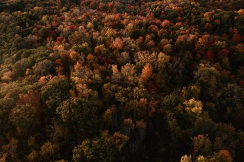 All The Autumn Colors Seen From Above Photo