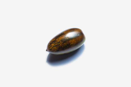 Green And Brown Seed On White Photo
