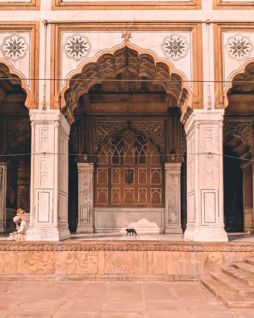 Cat Walking Through Ornate Archway Photo