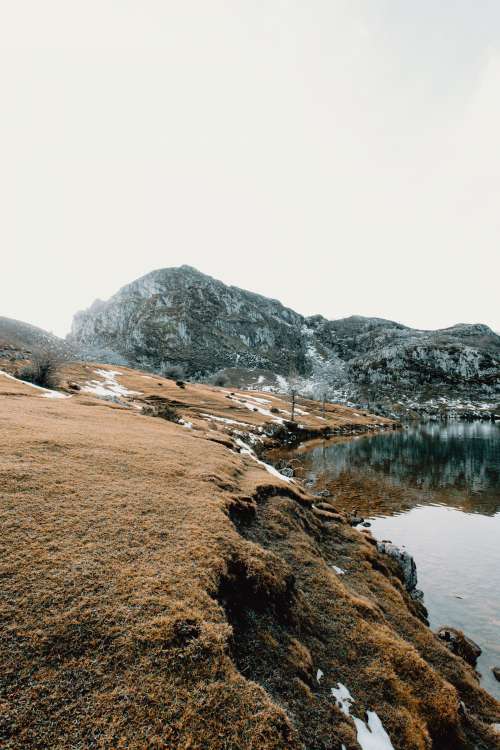 A Barren Winter Landscape Photo