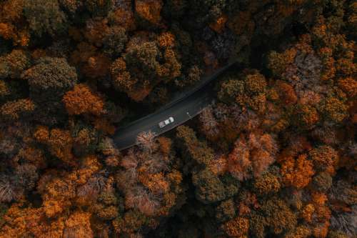 Drone View Of Car Driving Through Forest Photo