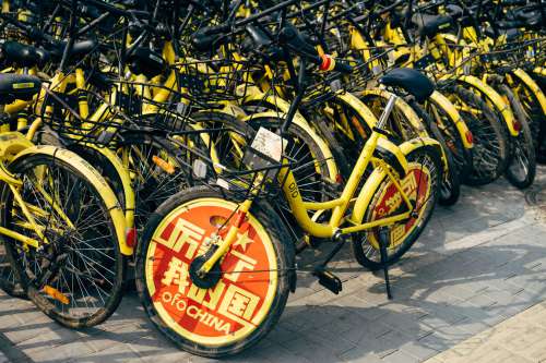 Tangled Community Bikes Photo