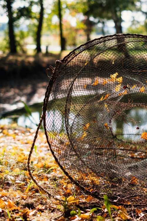 Fish net at the pond 2