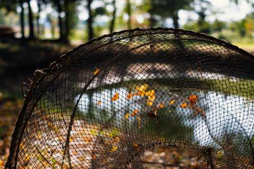 Fish net at the pond 3
