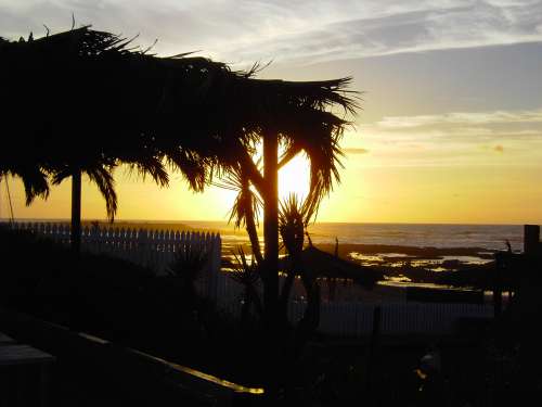 landscape, sunset, trees, environment, nature, dusk, dawn, beach