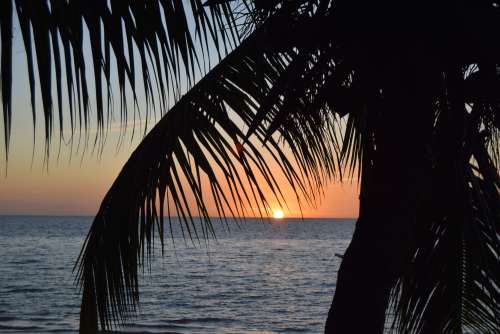 landscape, nature, sunset, sea, coconut palm, beach, people, sky