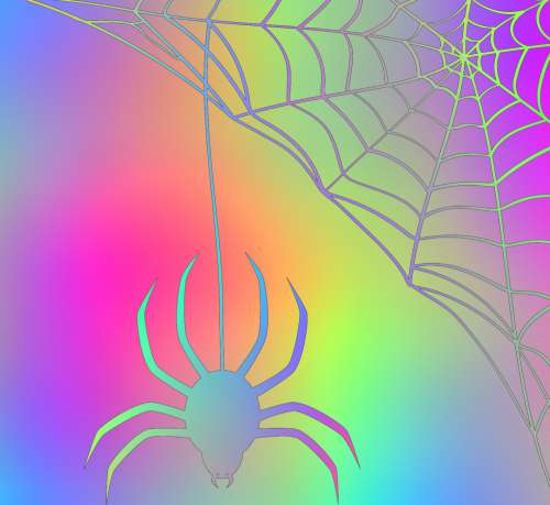 Spider Web 002