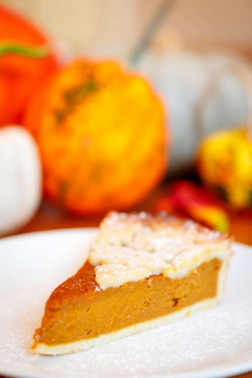 Slice Of Pumpkin Pie