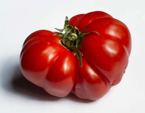 Large Ripe Red Heirloom Tomato Photo