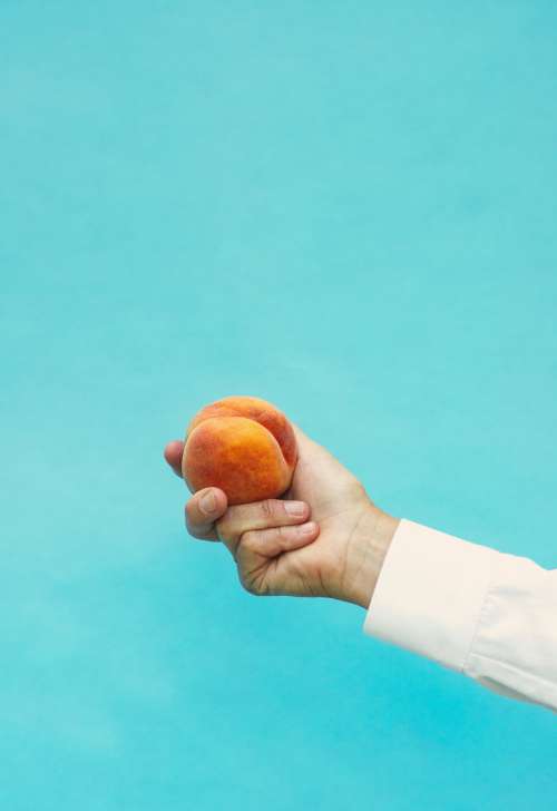 A Ripe Peach Held In The Hand Photo