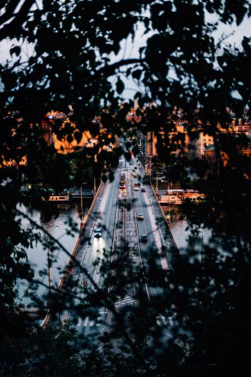 Cars Drive Over Bridge Through Trees Photo