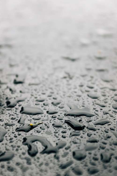 Close Up Of Water Droplets On Smooth Surface Photo