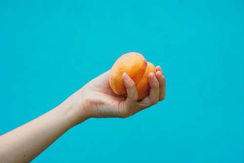 A Hand Holds A Ripe Peach Photo