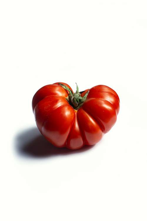 Single Ripe Heirloom Tomato Photo