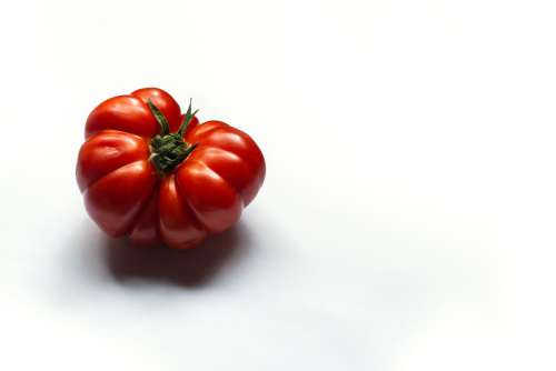 The Perfect Red Tomato Photo