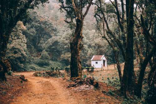 Dirt Road To A Small White Cabin Photo