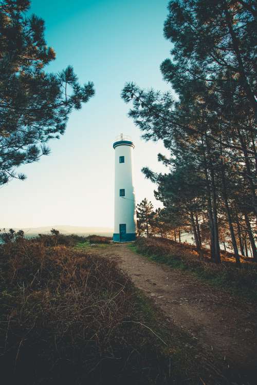 Lighthouse At The Edge Of Treeline Photo