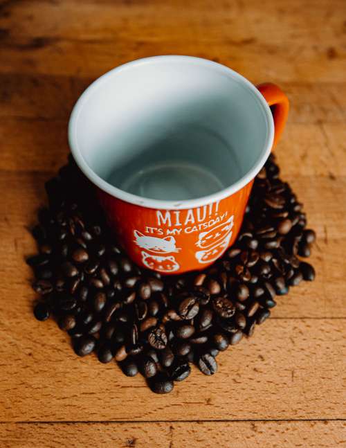 Empty Cup Surrounded By Coffee Beans Photo