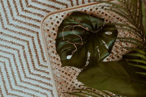 Necklace Laying On A Monstera Leaf Photo