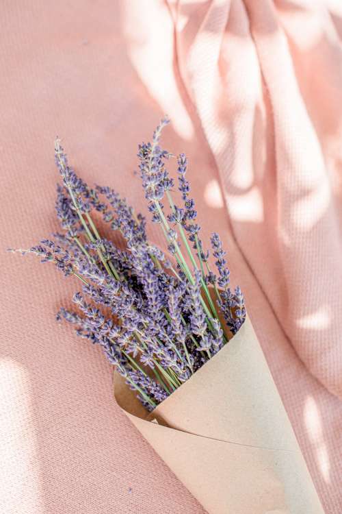 Pink Blanket With Lavender Bundle Photo