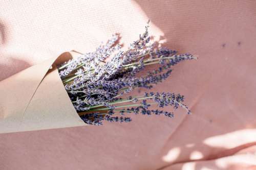 Lavender Bundle On A Pink Table Photo