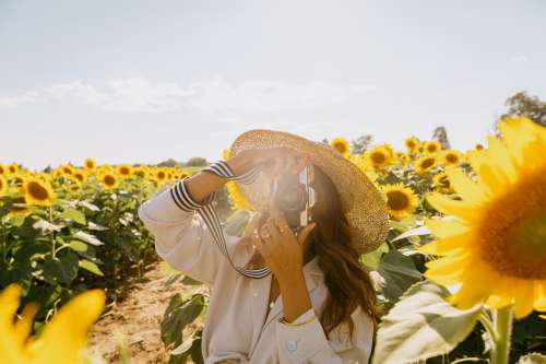 Photograher Standing In Sunflower Field Photo