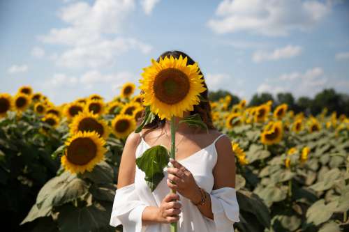Person Holding A Sunflower Over Their Face Photo