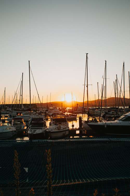 Setting Golden Sun Over The Marina Photo