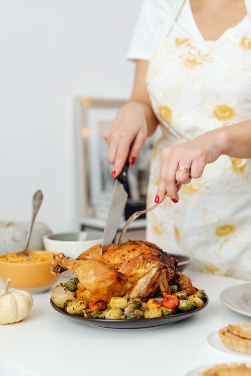 Preparing a Thanksgiving dinner - festive meal