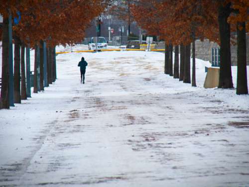 Runner Jogging Free Photo