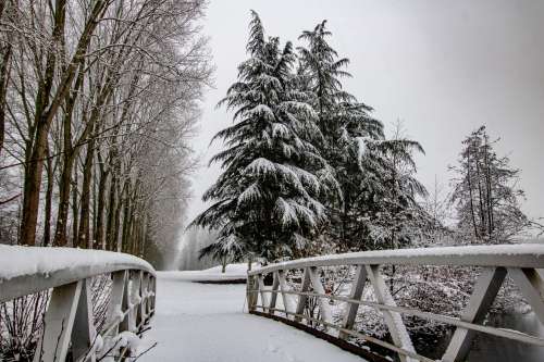 Snow Covered Bridge Leading To Trees And Pathway Photo