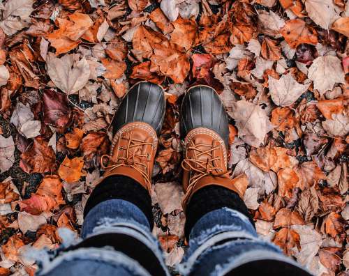 Person In Boots Stand On Crunchy Fall Leaves Photo