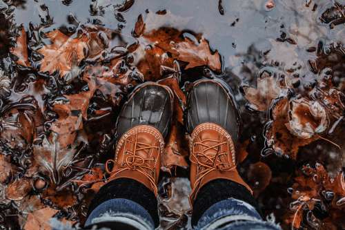 Person In Boots Standing In Leaves And Water Photo