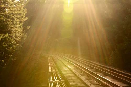 Train Tracks Through A Mountain Forest Photo
