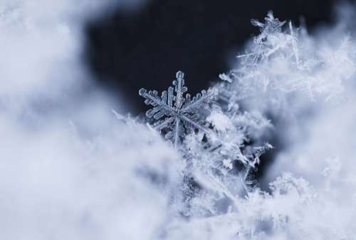 Macro Photography Of A Detailed Snowflake Photo