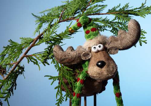 Holiday Burlap Moose Stands Under Cedar Branch Photo