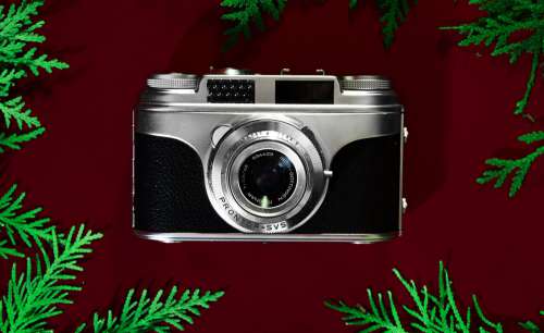 Vintage Silver Camera Surrounded By Foliage Photo