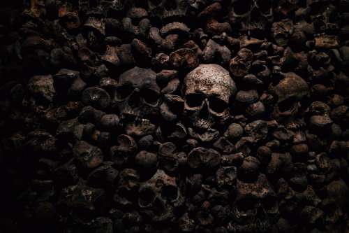 Stacked Bones And Skulls Photo