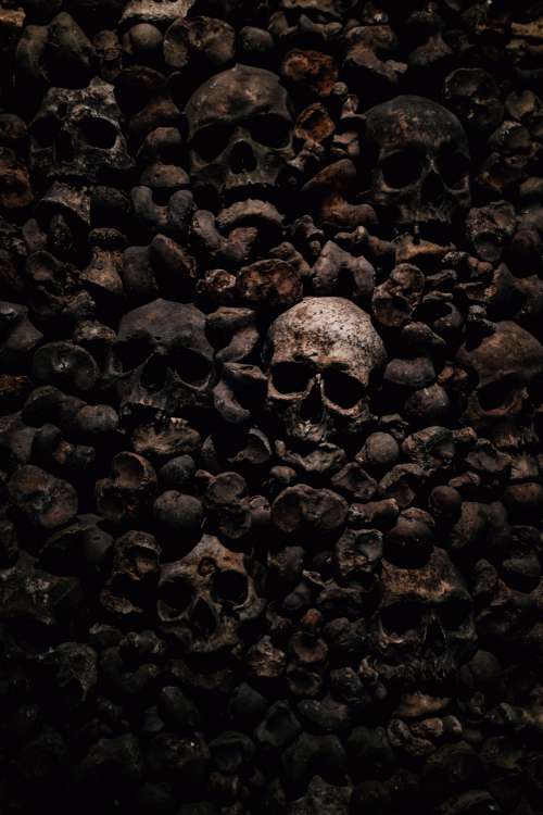 Skulls And Bones In Darkness Photo